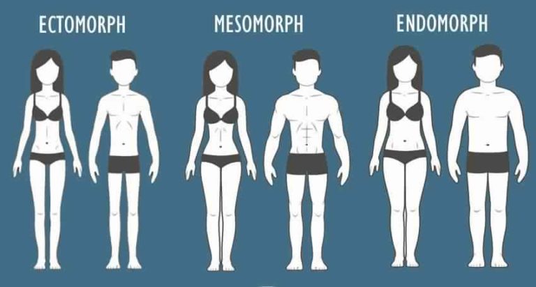 how can i find out my body type