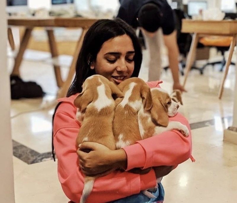 playing with Puppies 